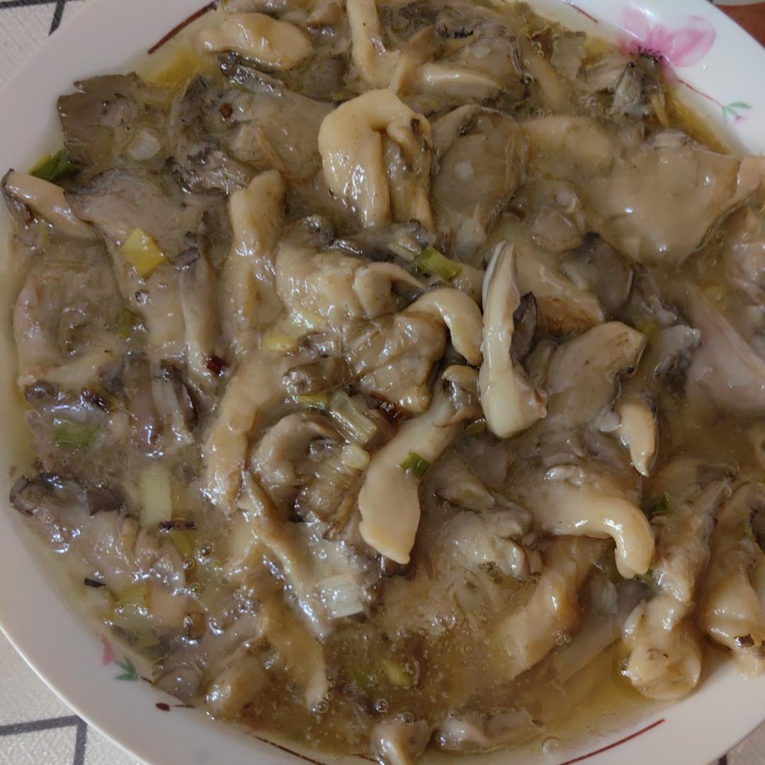 素炒平菇
