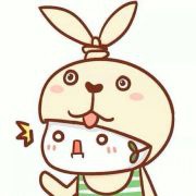 轰猪猪