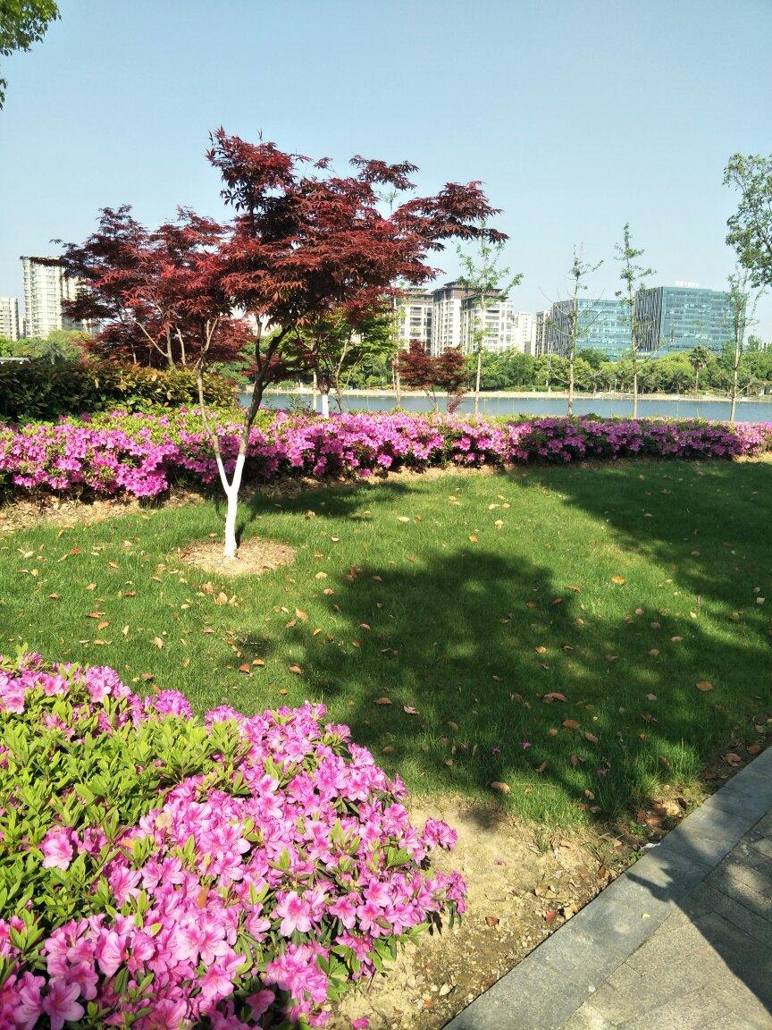 花团锦簇