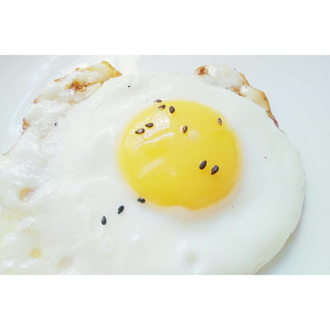 【熊记】太阳蛋