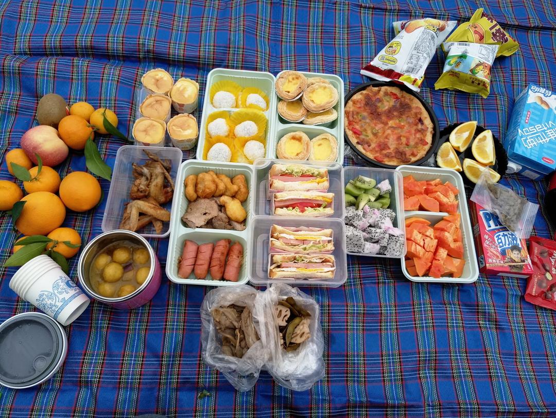 郊游  踏青  野餐