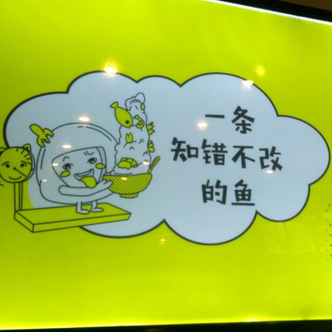 一条知错不改的鱼