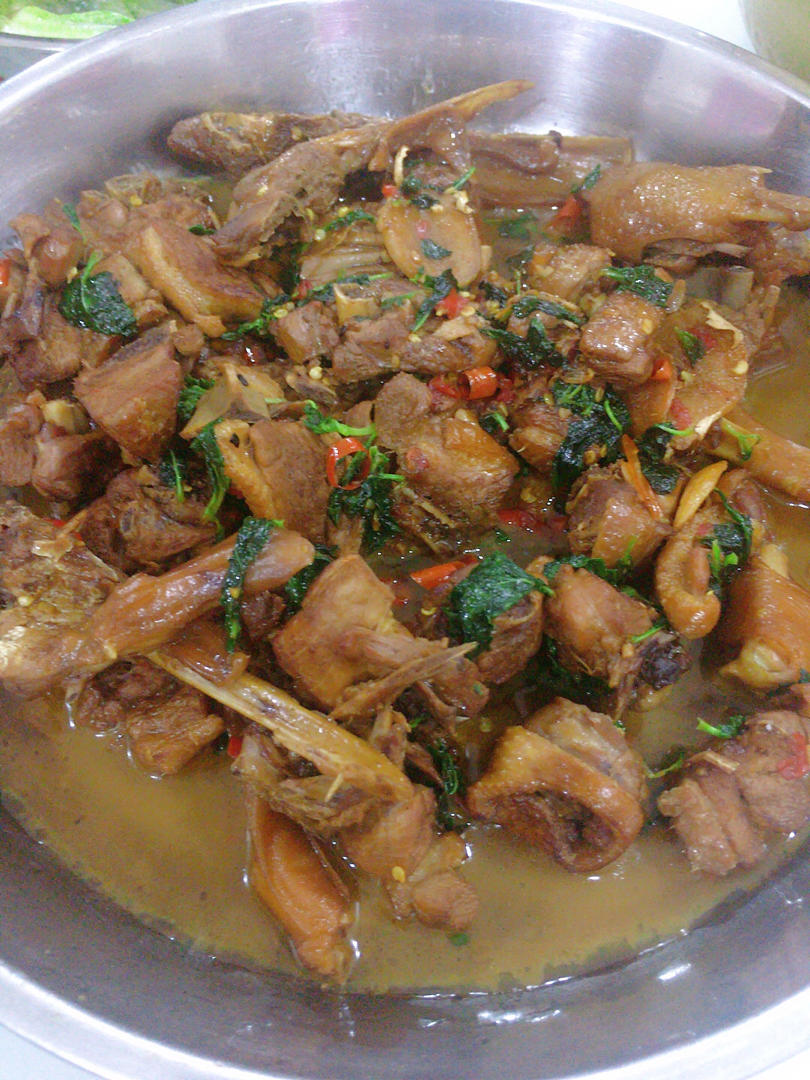 客家粉尘鸭的全部作品