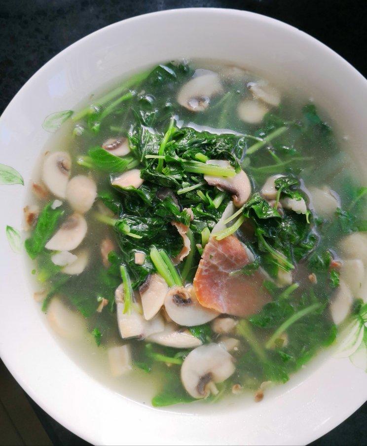 四季薄荷做的苋菜汤