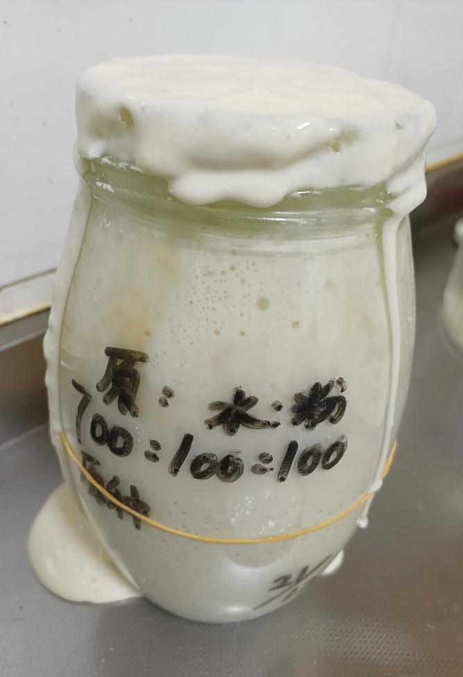 鲁邦种首次喂养成功记录