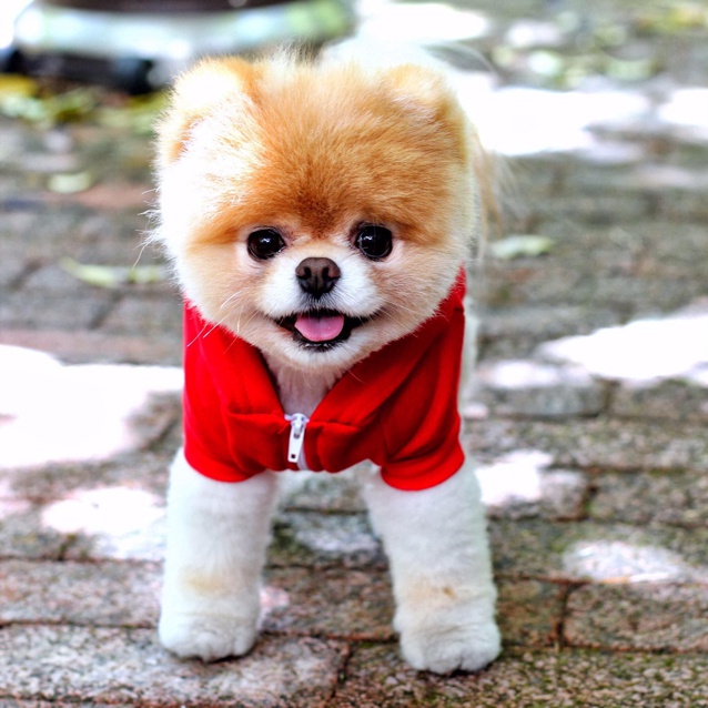 命运从来不会同情弱者。