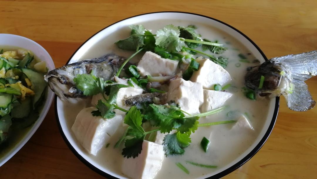 奶白鲫鱼汤