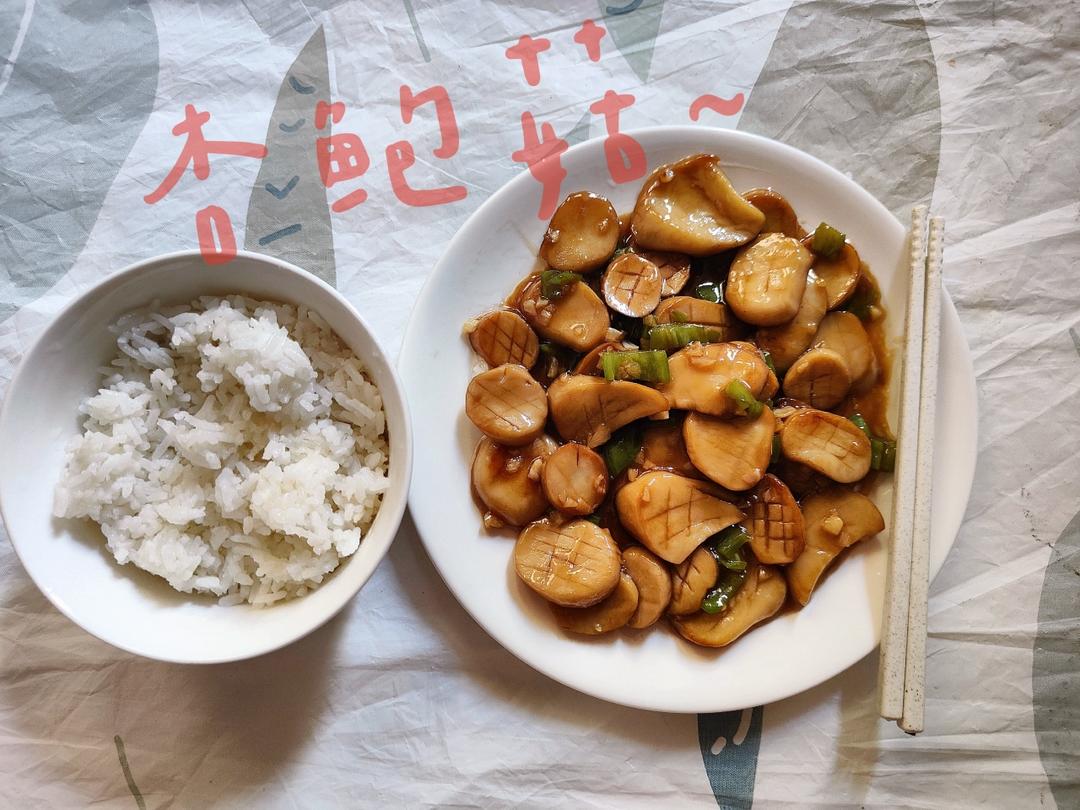 🌈✨超简单的【酱汁杏鲍菇】比肉还好吃😋