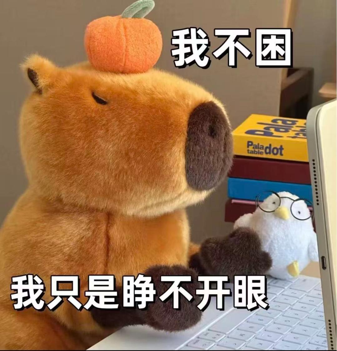 盖盖爱吃饭