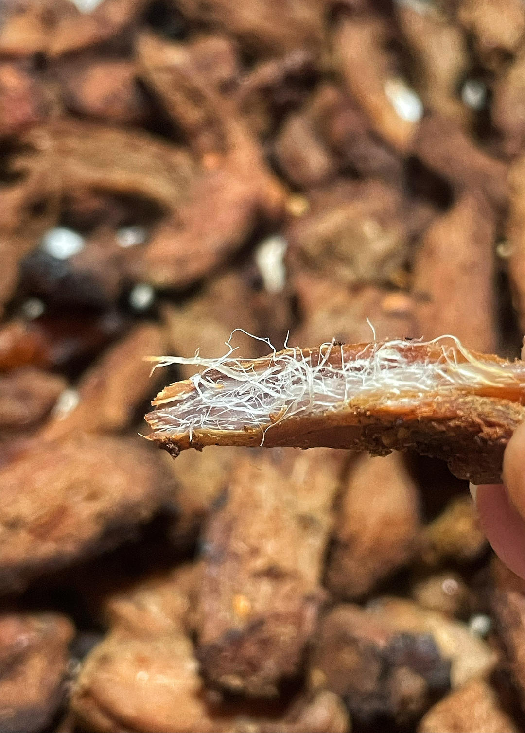 猪肉干（香辣孜然）非烤箱，这才是里脊肉最好吃的做法