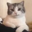 千I夜I瞳