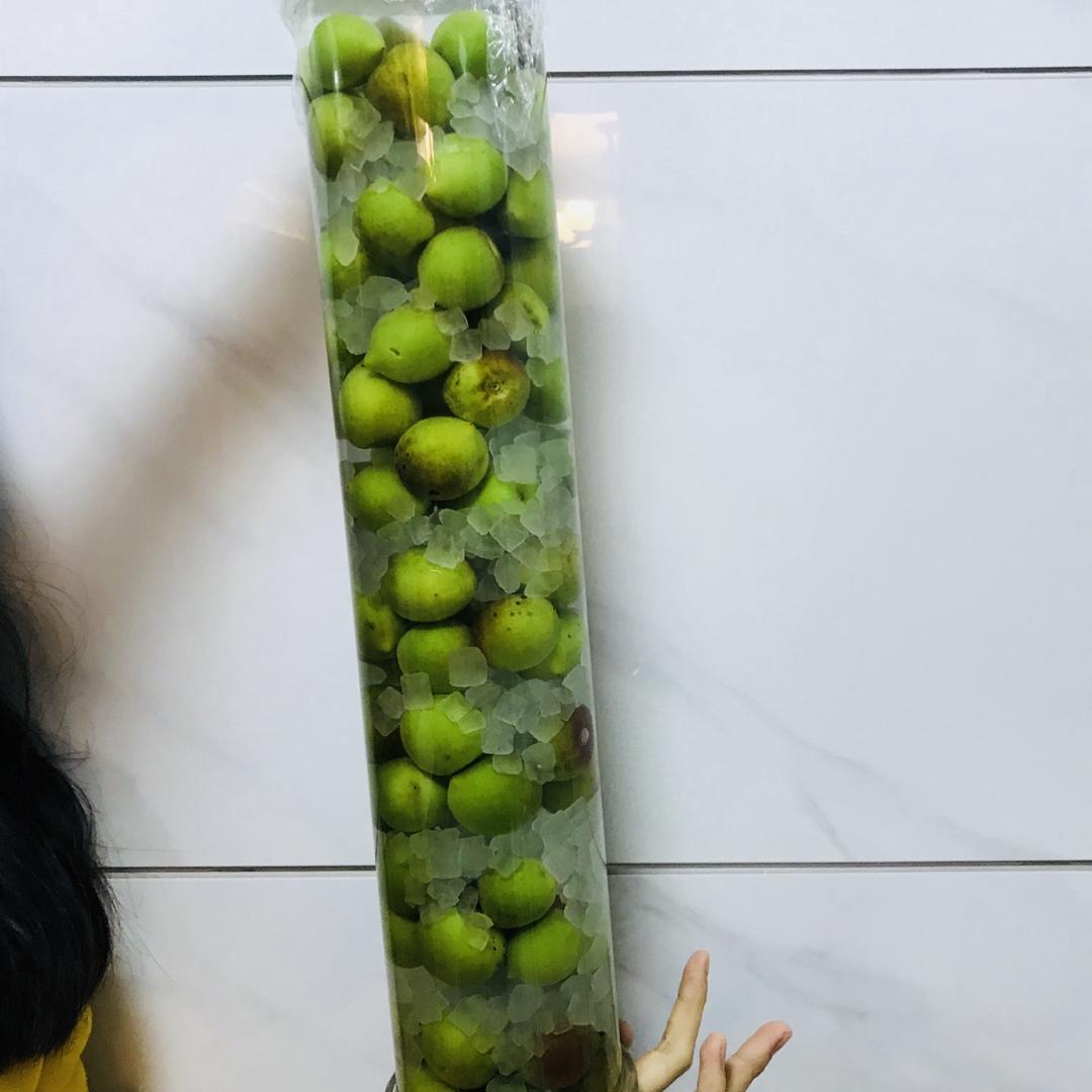 传照