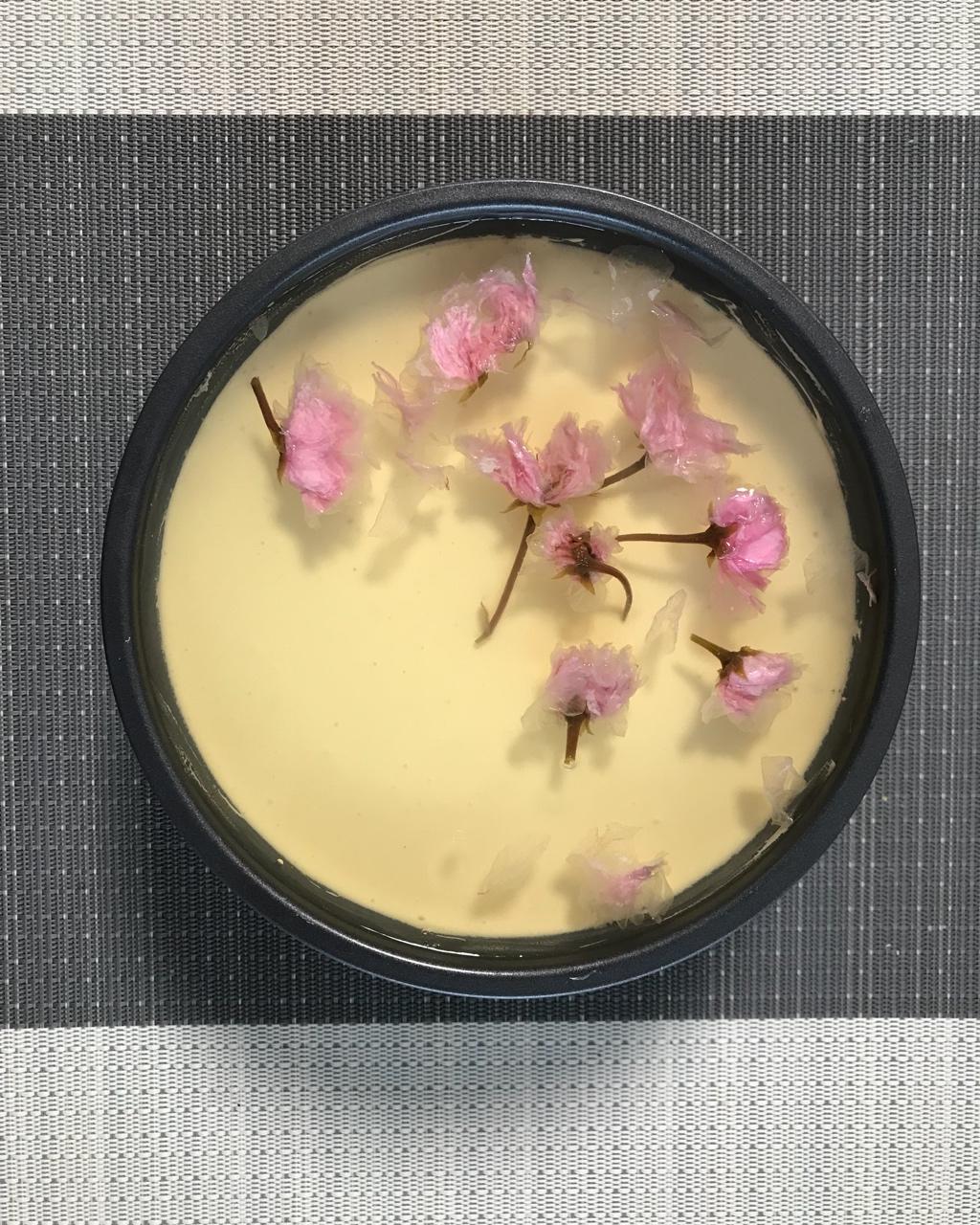 【酸奶冻芝士蛋糕】