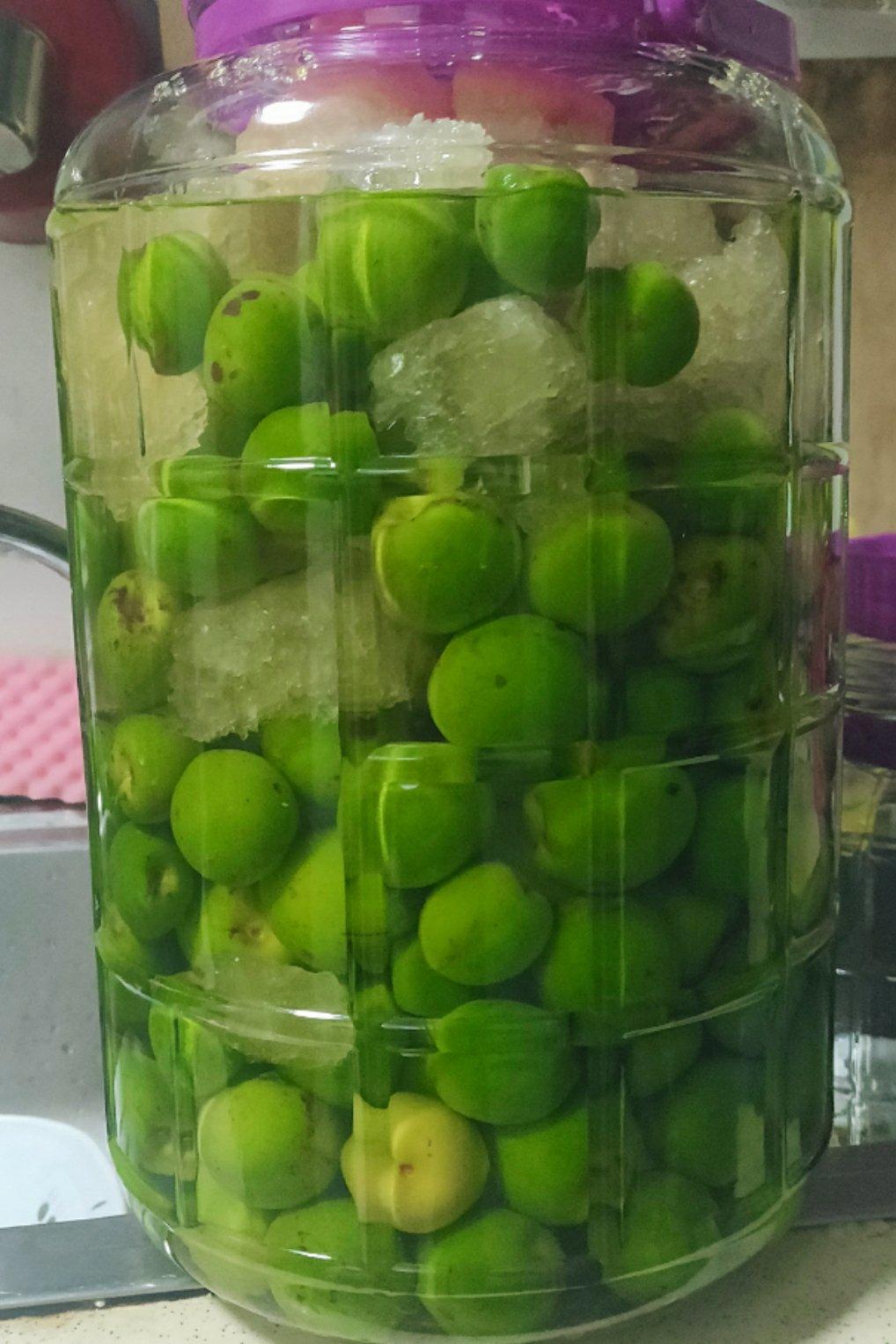 【青梅酒】梅子的沉醉时光（已填坑）