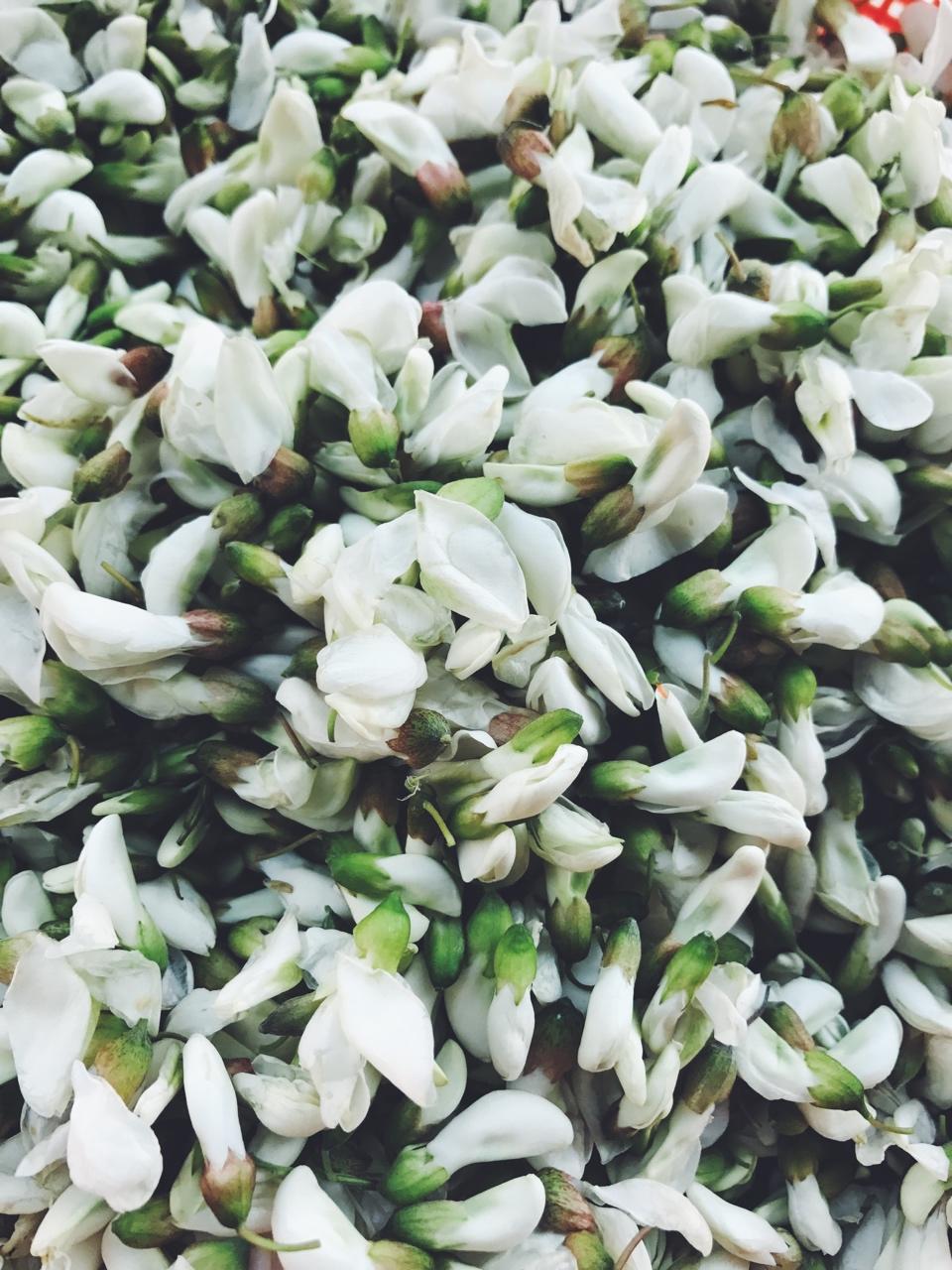 槐花的吃法大全