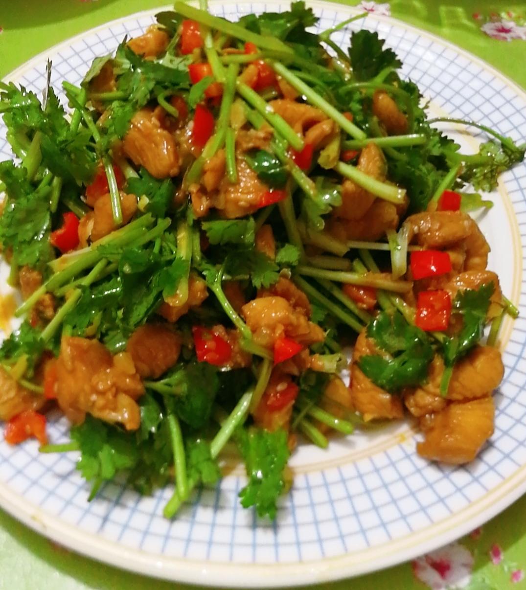 嗷嗷下饭的凉拌鸡胸肉！入口嫩滑！香香辣辣