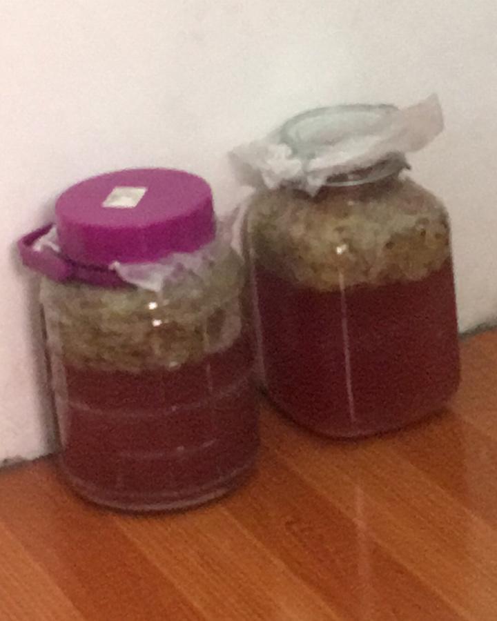 自制葡萄酒