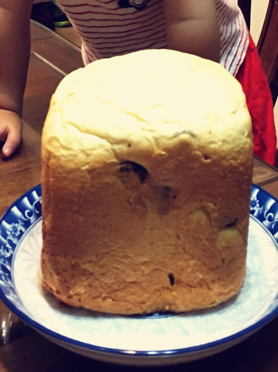 提子土司（柏翠面包机PE6280）自用方子