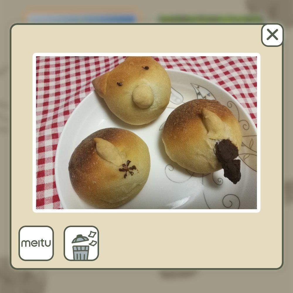 柴犬面包