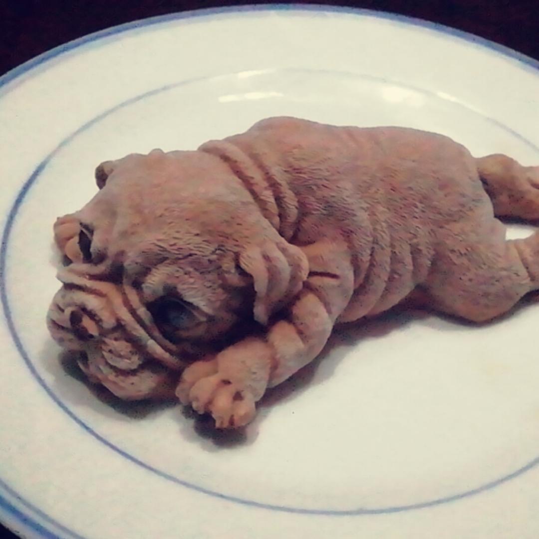 家有儿女馨馨and哲哲