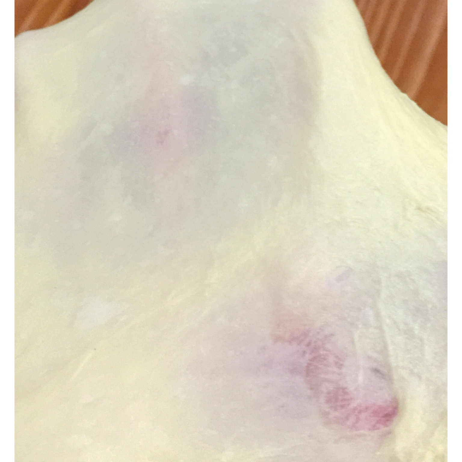 最好吃的吐司～70%中种北海道