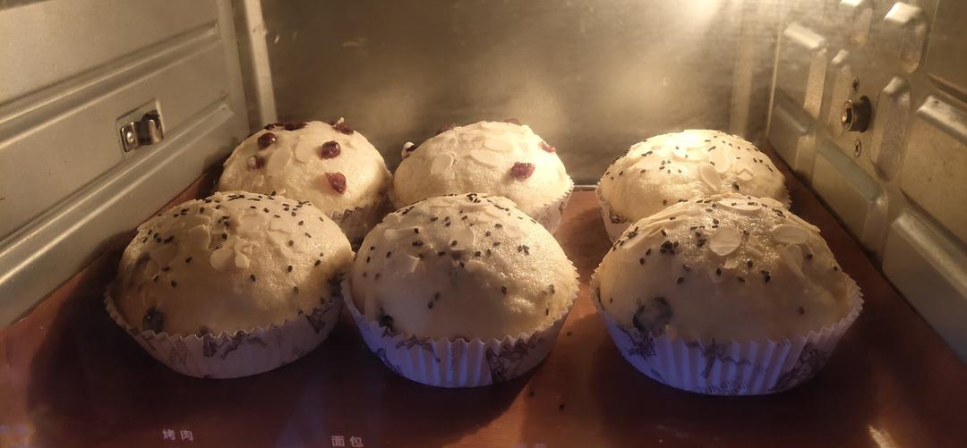 【圣诞面包-潘妮托尼】——COUSS CO-750A出品