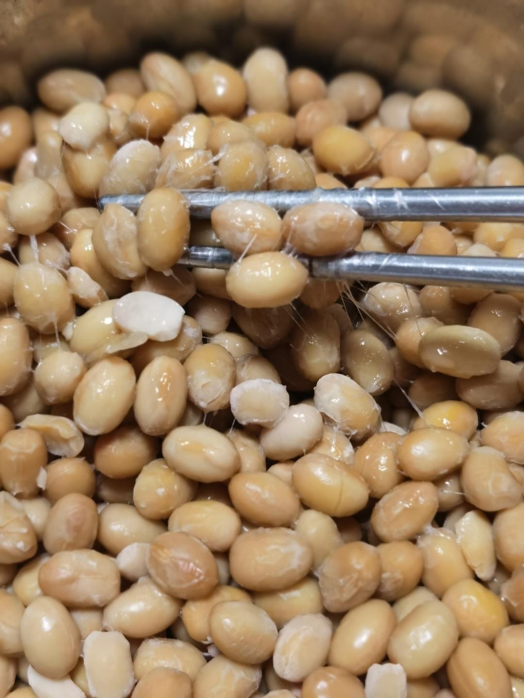 自制纳豆（酸奶机，面包机，烤箱版）