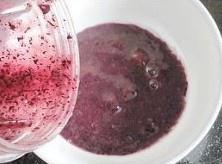 自制双莓酸奶的做法 步骤2