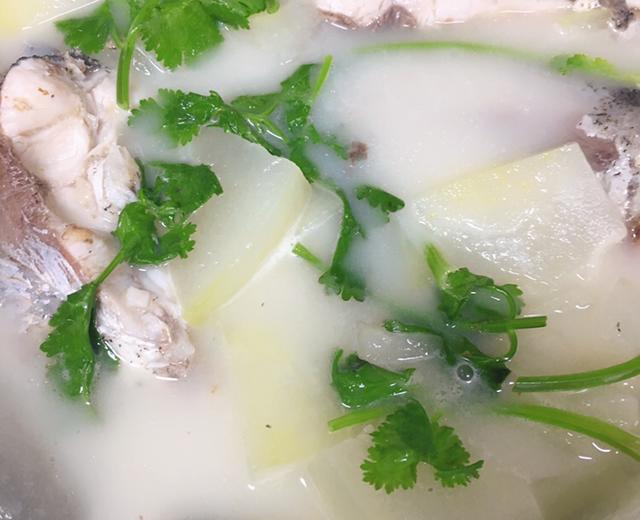 经济营养解暑冬瓜鱼汤的做法