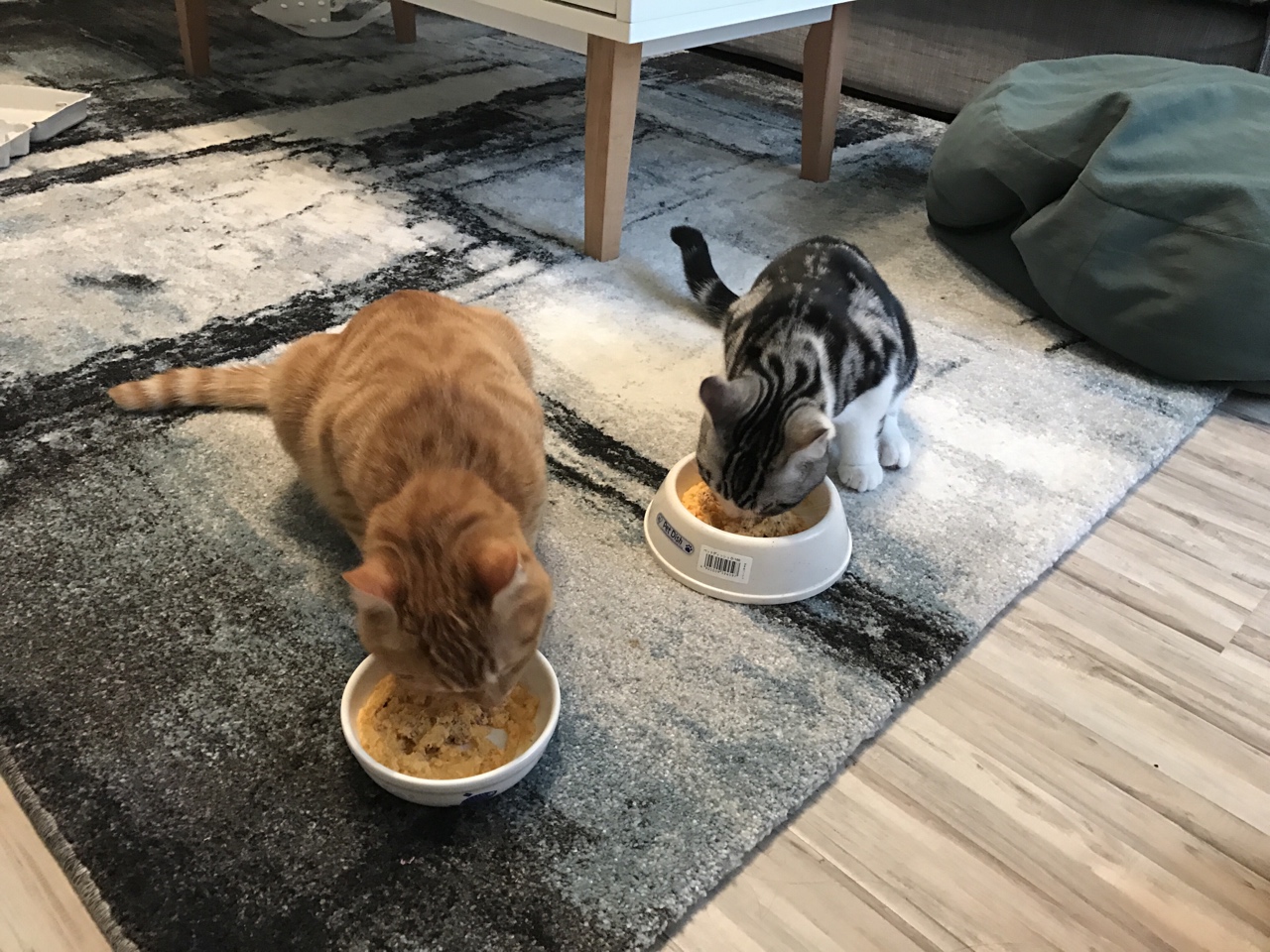 猫饭—营养鸡肉泥