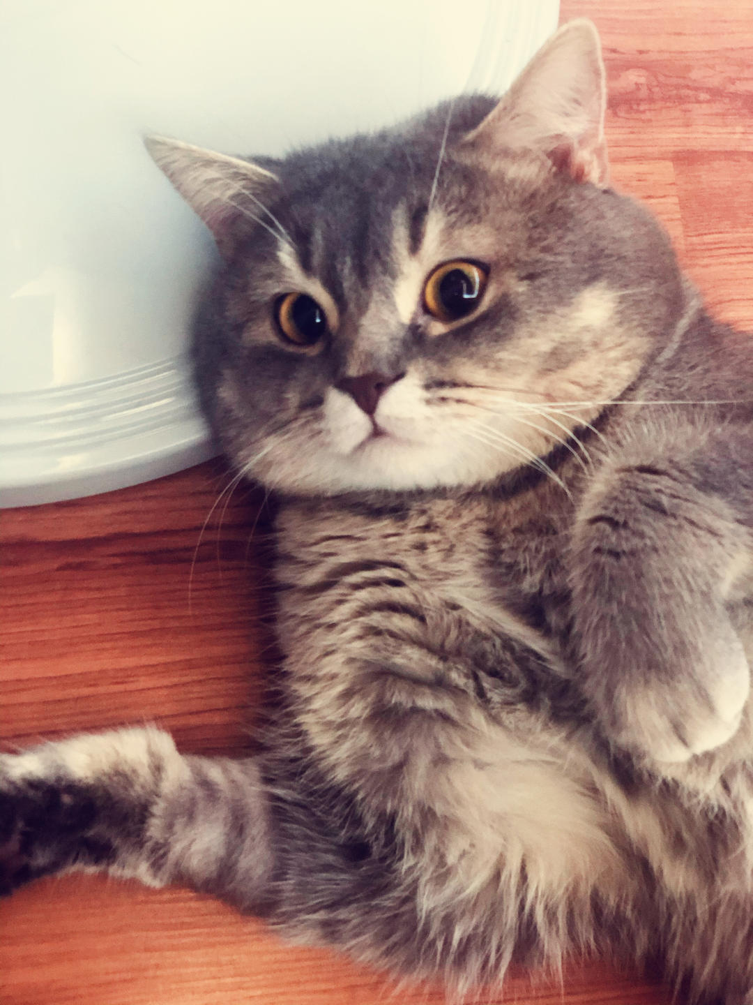 让我设置昵称又总说已被注册