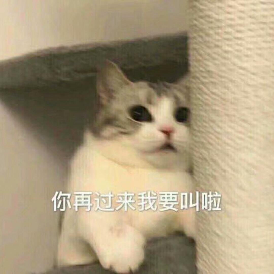 奶茶啊奶茶