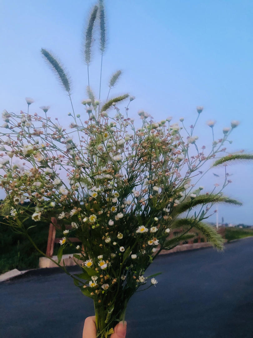 飞雨-泪