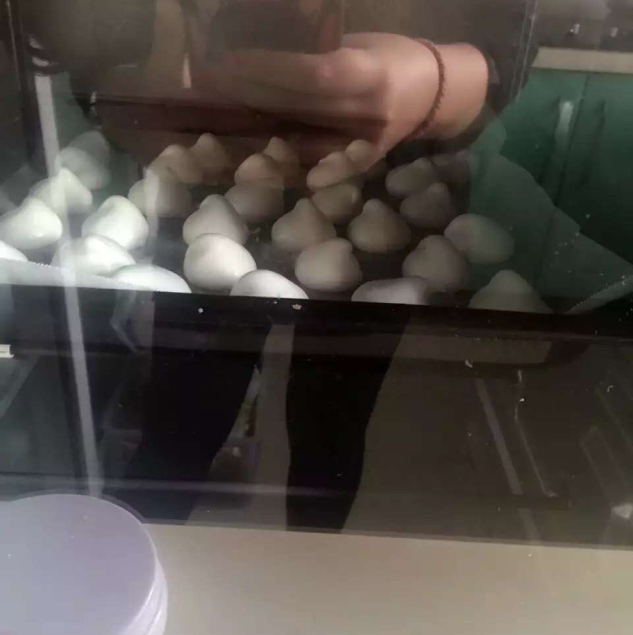 蛋白糖（烤箱做蛋白糖）
