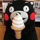 茶太酱