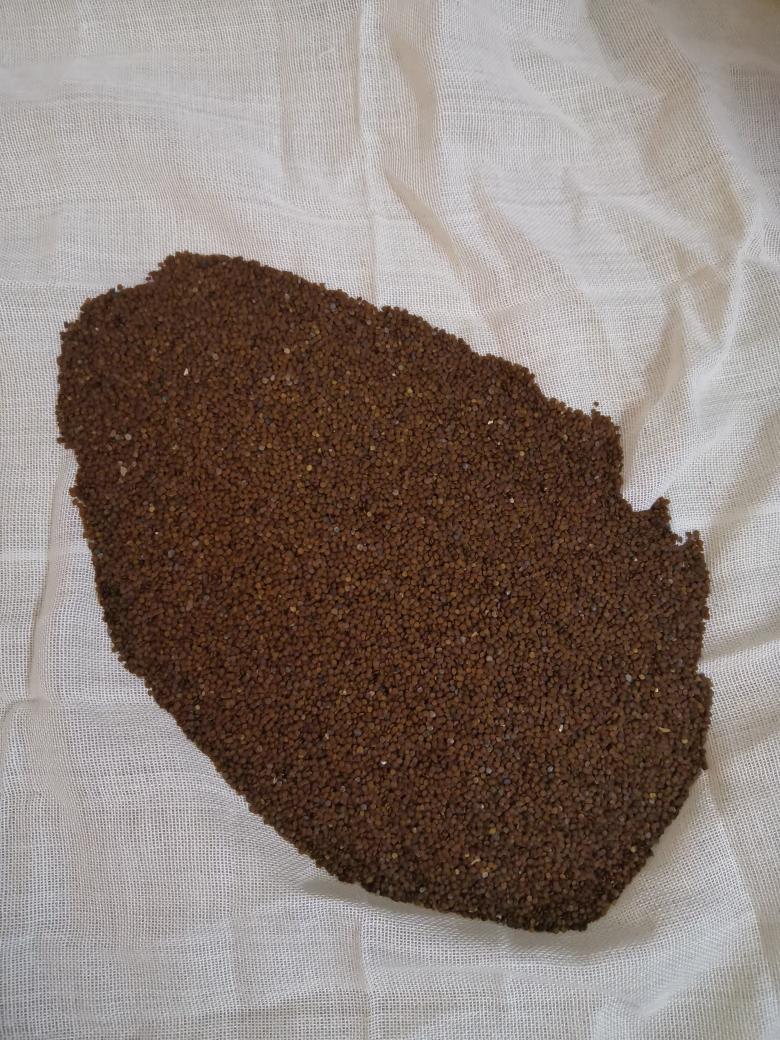 自制纯手工植物石花粉的做法 步骤2