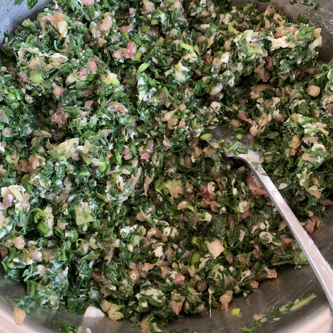荠菜鲜肉饺子