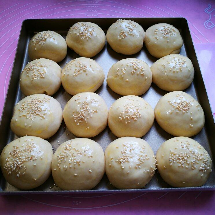 鲜奶油小餐包（一次发酵）