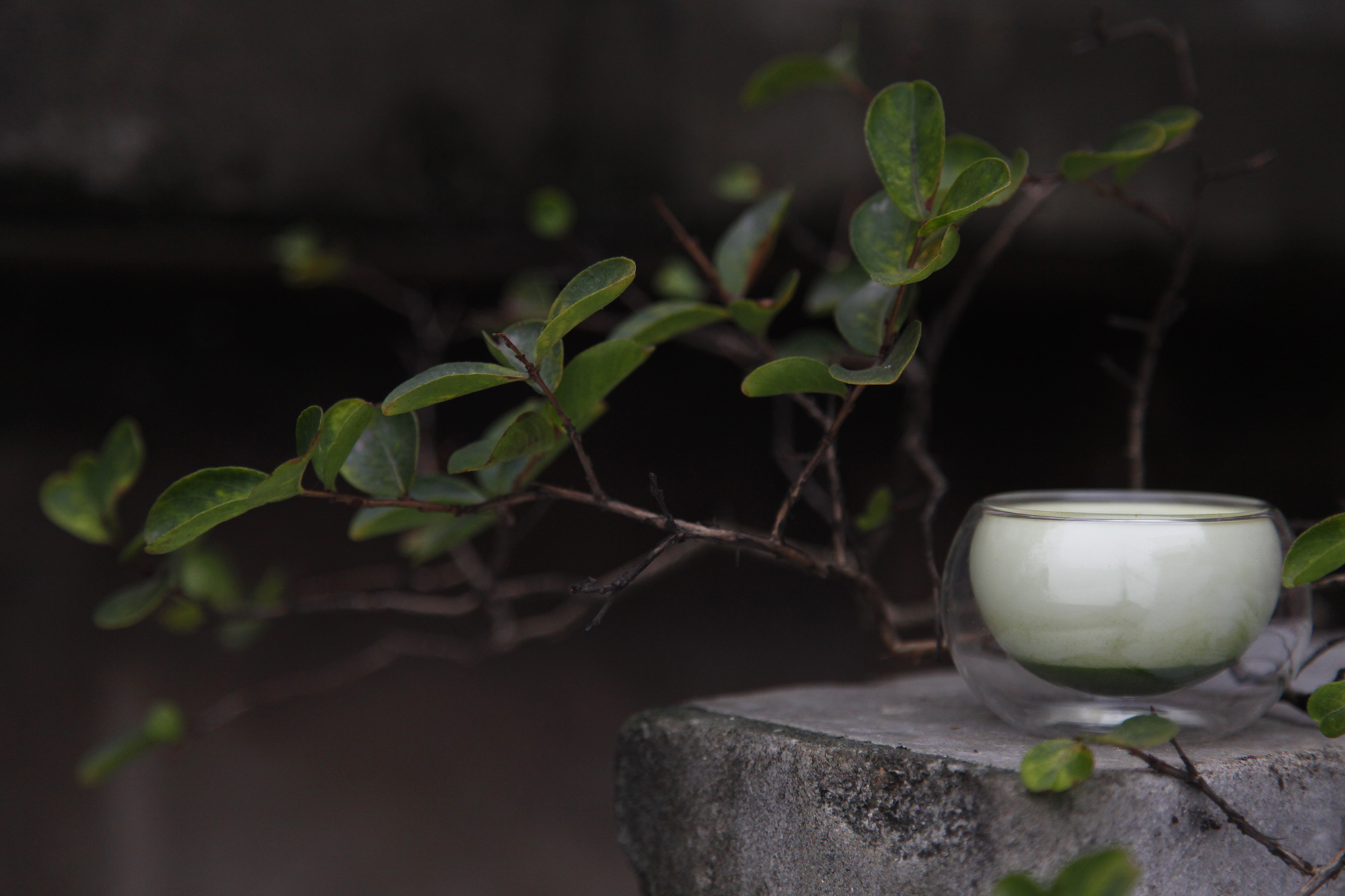 抹茶布丁