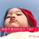 梅梦陈真