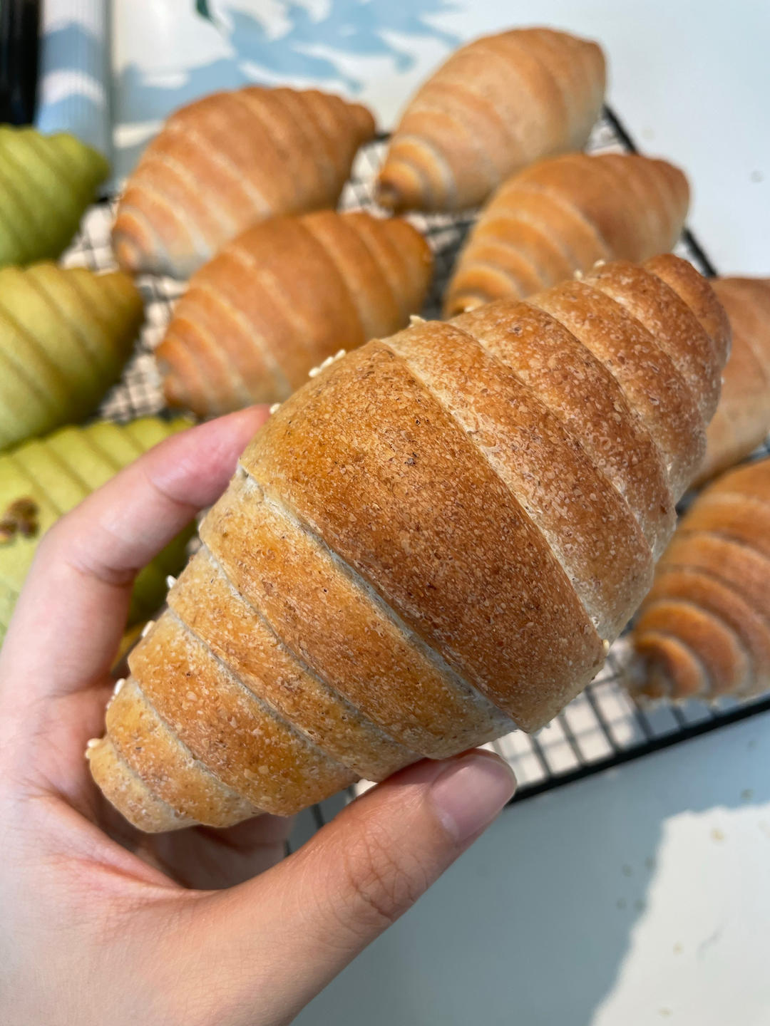 全麦盐面包卷｜日式海盐卷｜永远吃不腻