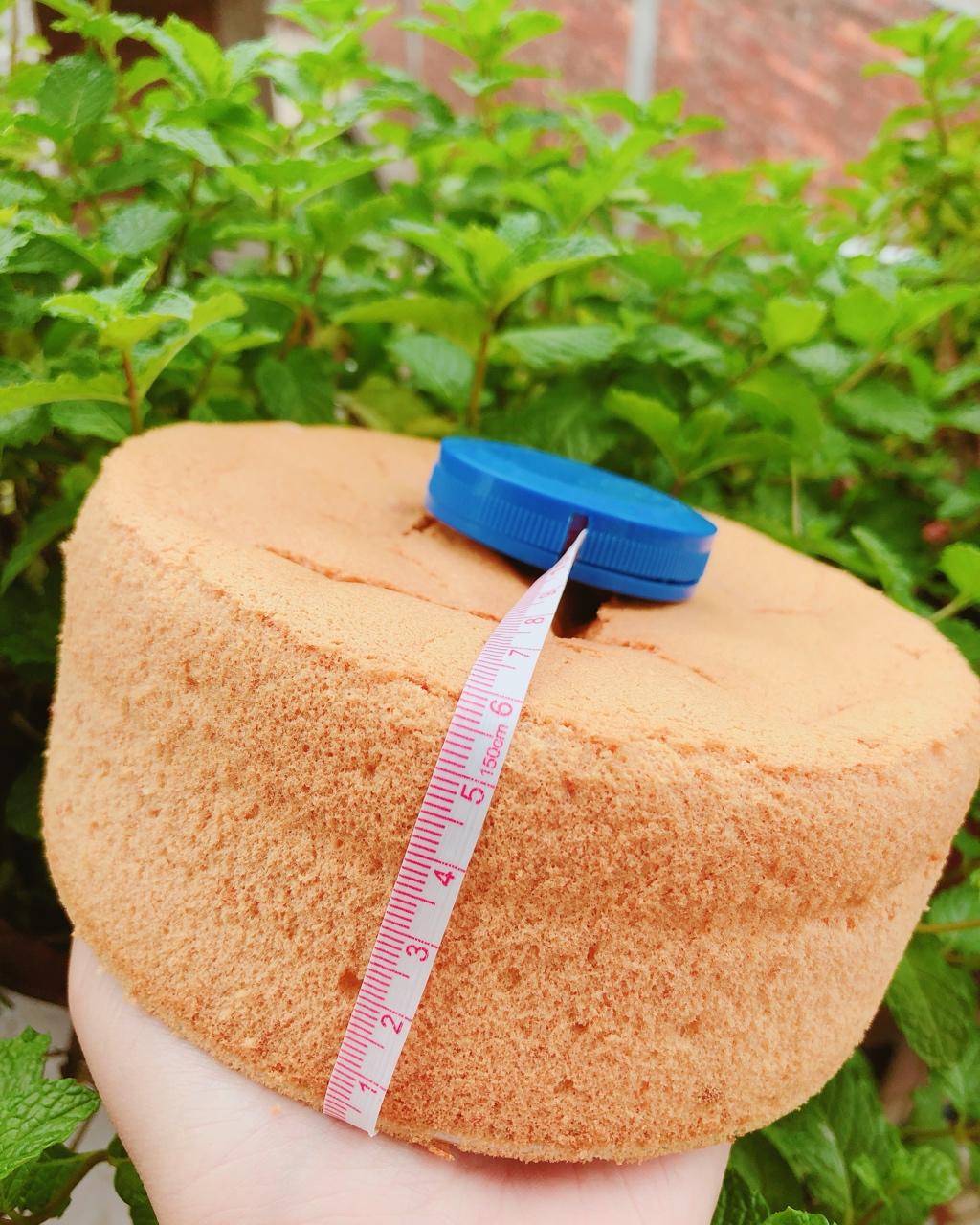 基础戚风（好记、适合奶油抹面、裱花的蛋糕体）