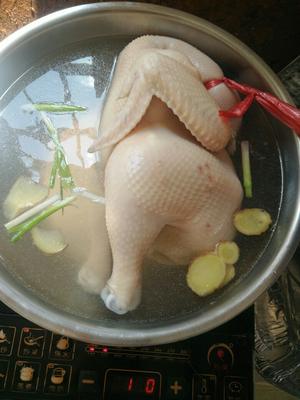 烧鸡的做法 步骤4