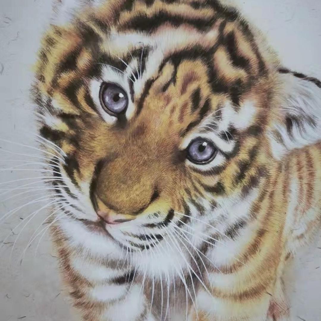 马丁鱼