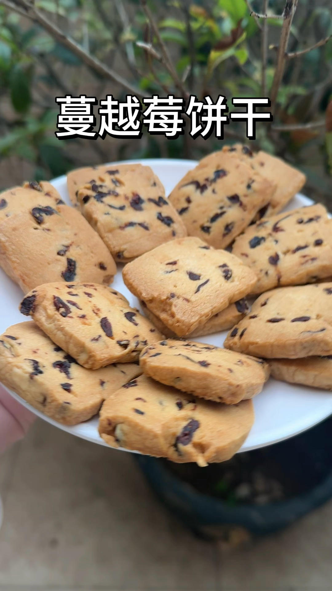 蔓越莓饼干🍪烘焙小白也能做