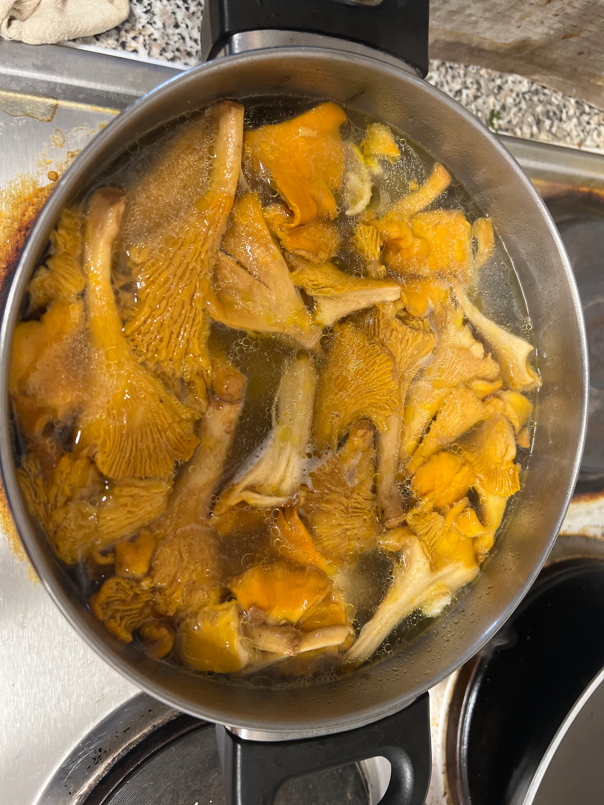 鸡油菌炖鸡汤