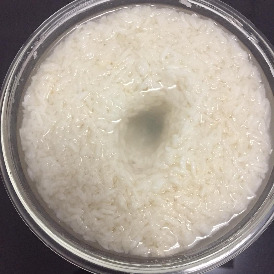 酒酿 (酒酿系列一）