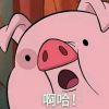 圆滚滚胖墩墩的丸子
