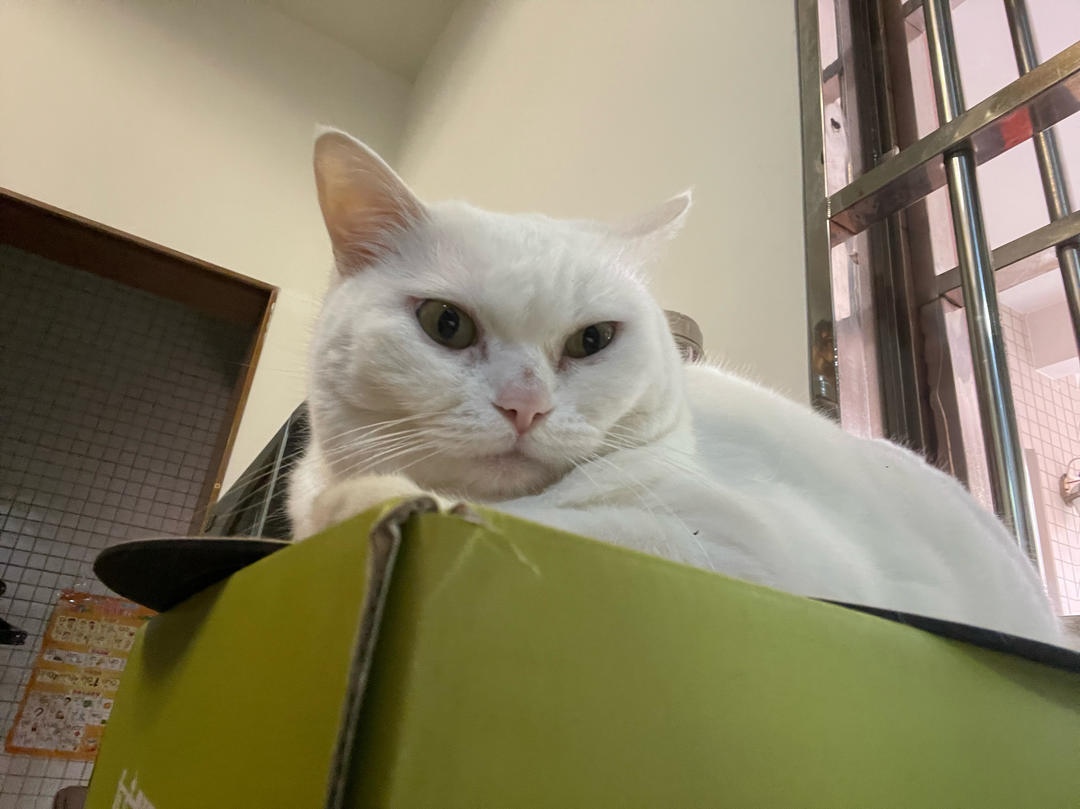 阿花料理主理人