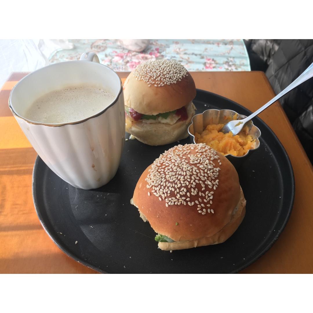 汉堡胚 poolish（波兰种）